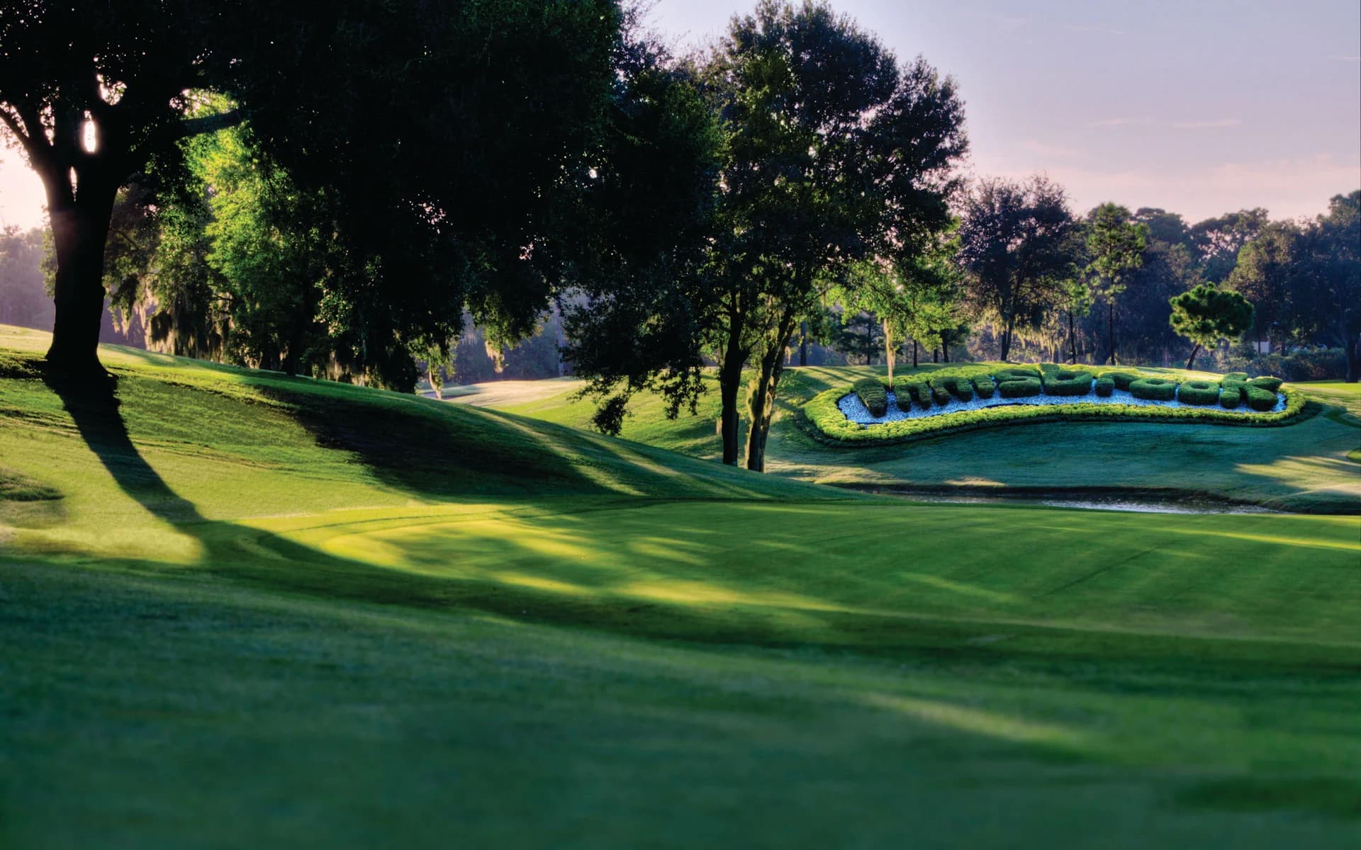 Innisbrook Resort 4