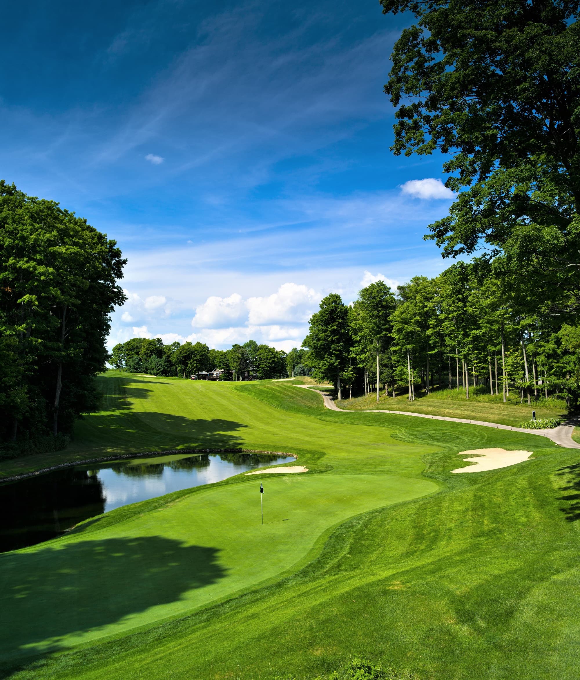Treetops Resort 2