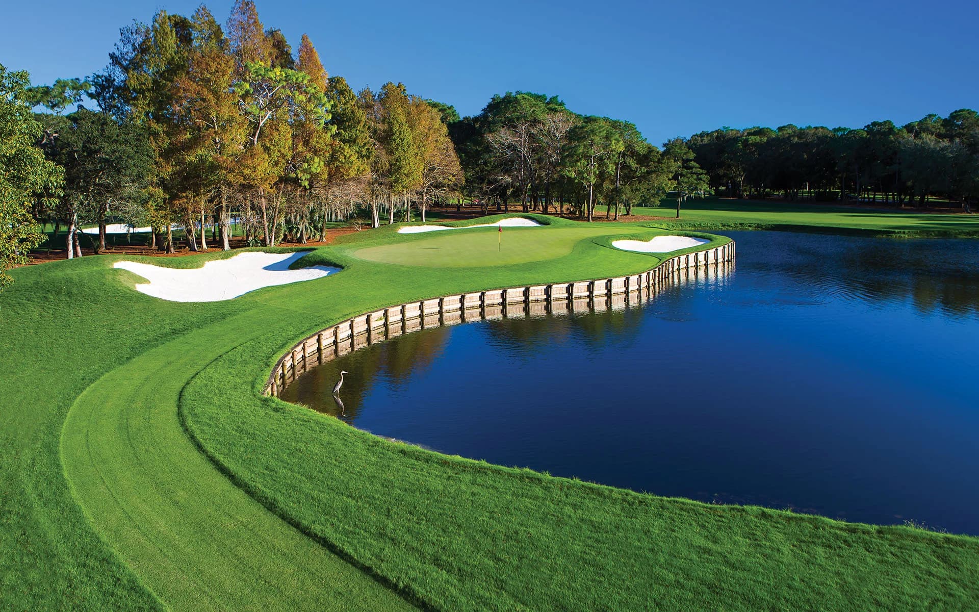 Innisbrook Resort 2