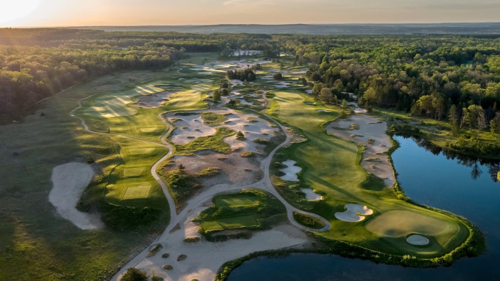 Forest Dunes 3