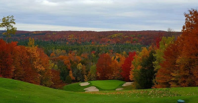 Treetops Resort 3