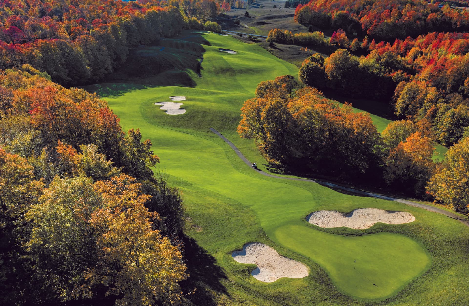 Treetops Resort 1