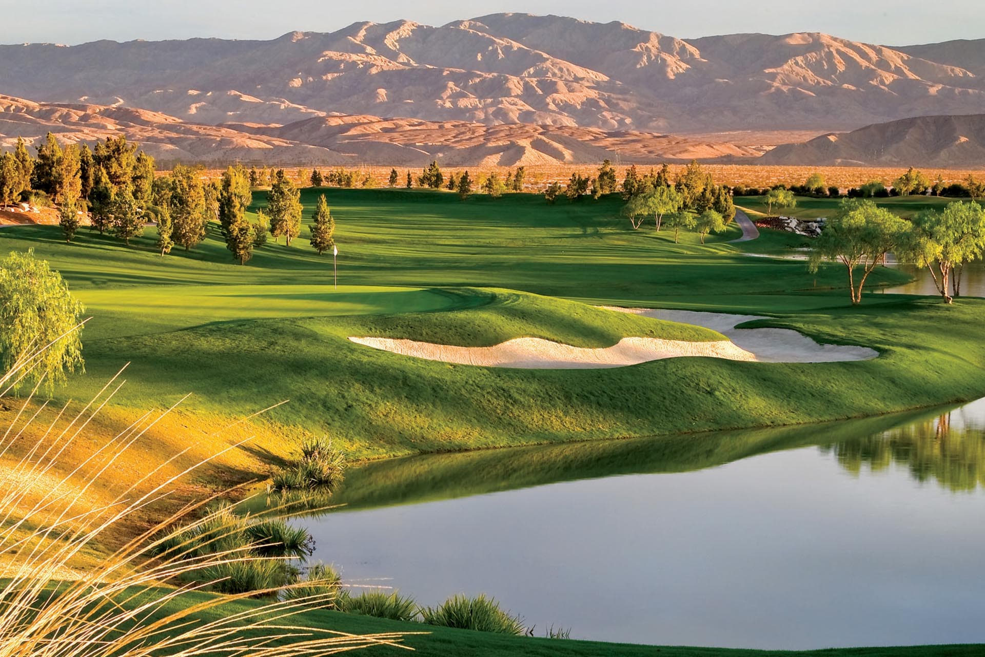 Palm Desert 4