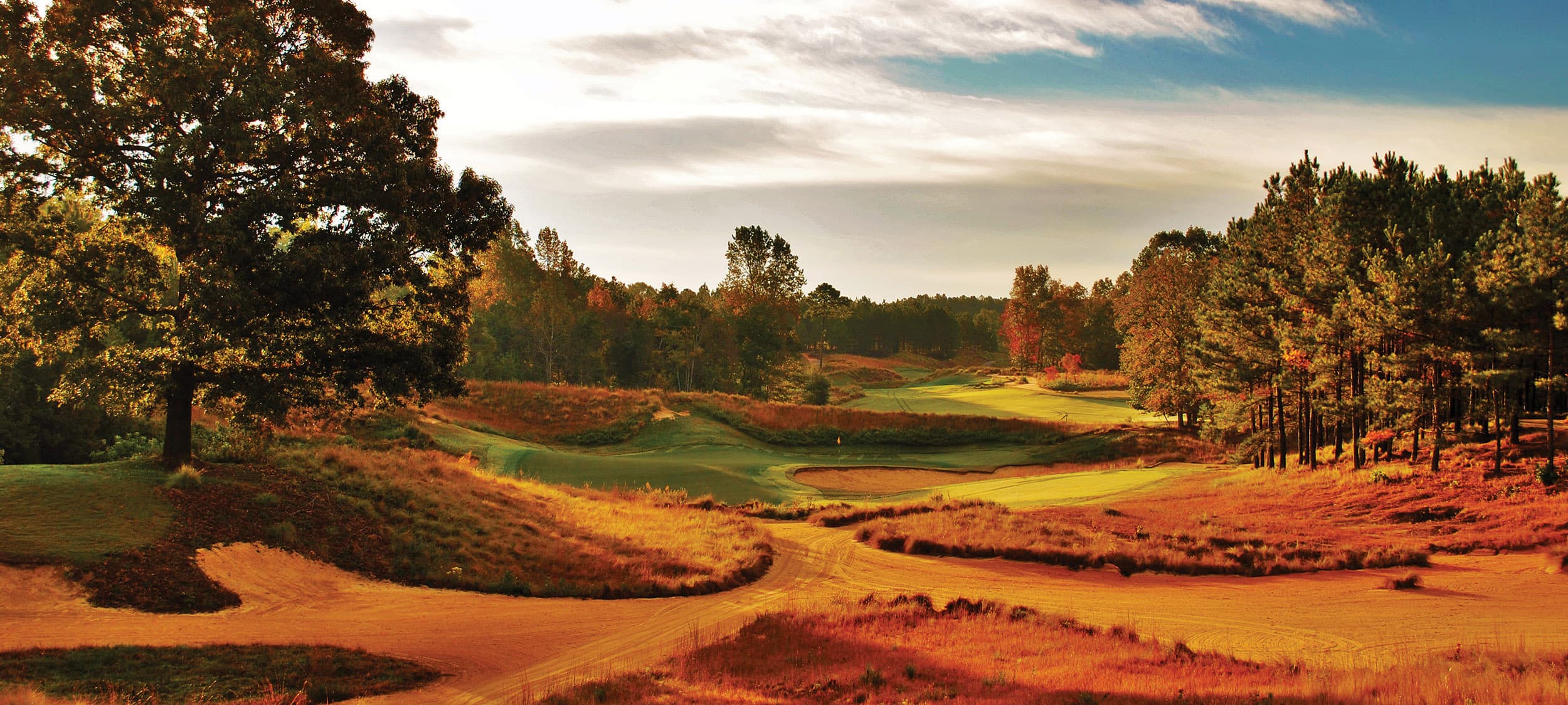 Sandhills Region 1