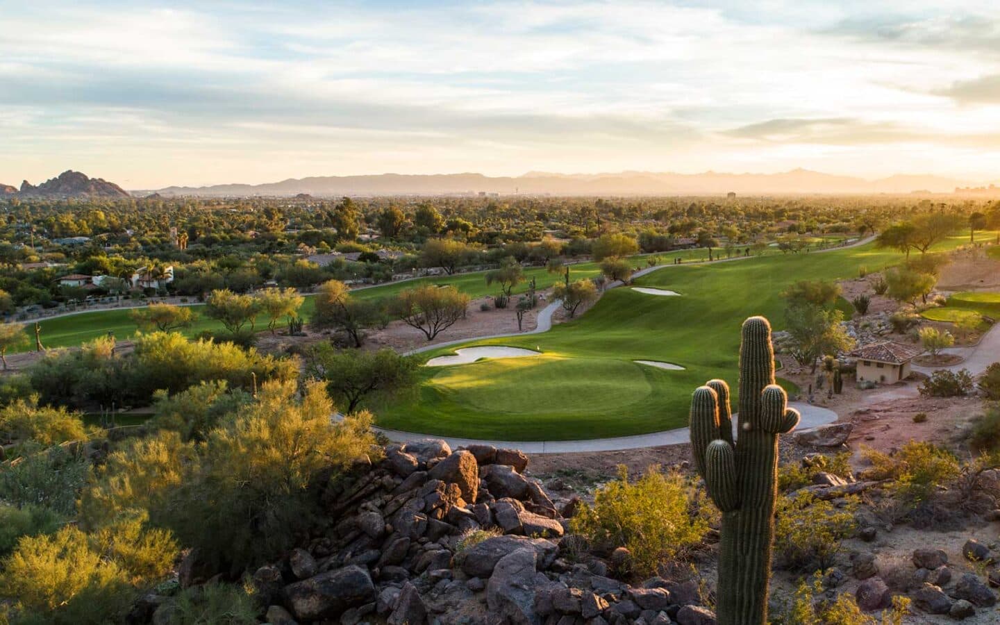 Scottsdale 1